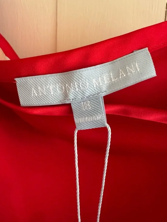 Antonio Melani NWT Elegant Satin Maxi Skirt in Red sz 18 - Picture 4 of 5